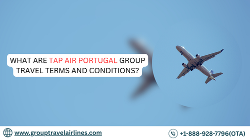 What Are TAP Air Portugal Group Travel Terms and Conditions?.png