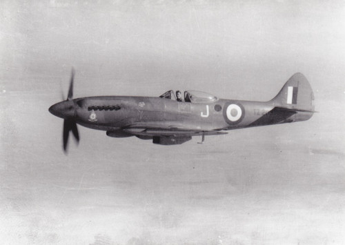 Spitfire FR XVIII 1950 GP.jpg