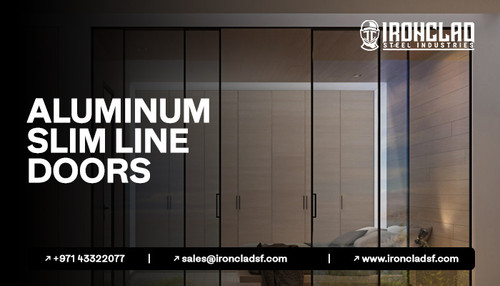 Aluminum Slim Line Doors.jpg