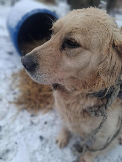 G 3avGuW4AApZKk?format=jpg.jpg