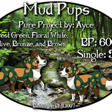 mud pups