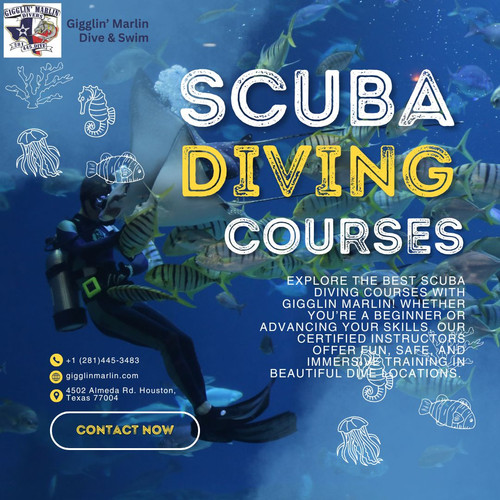 Scuba Diving Courses – Learn to Dive with Gigglin Marlin.jpg