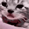 SadCat 3x.gif