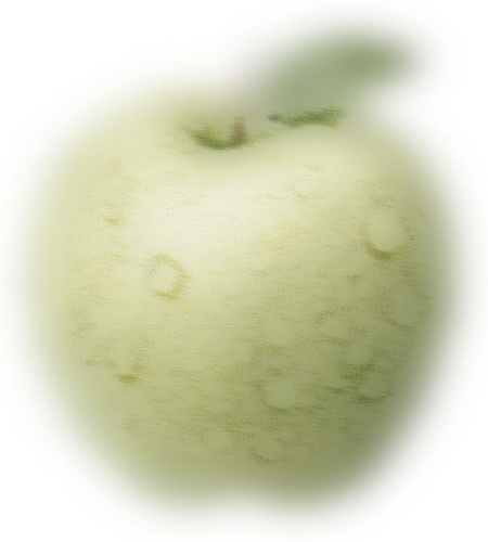 Image 1758630301608 3.png