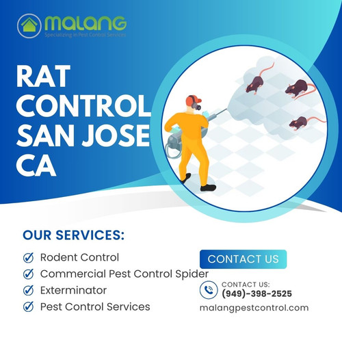 Professional Rat Control in San Jose, CA – Safe & Effective Solutions.jpg