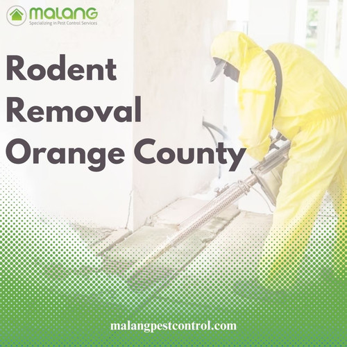 Rodent Removal in Orange County You Can Trust.jpg