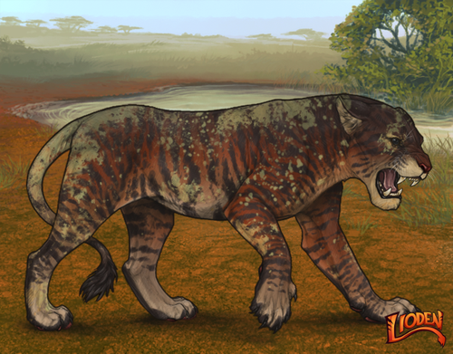 lioden wardrobe 2026 01 30T130356.115.png