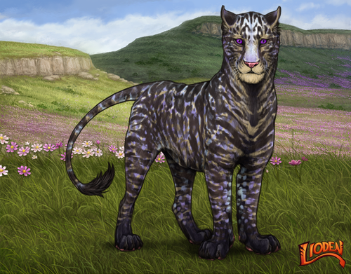 lioden wardrobe 2026 01 30T130922.265.png