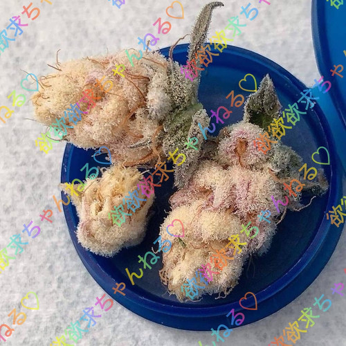 waterstamp Qo8dNaxGRg9S.jpg