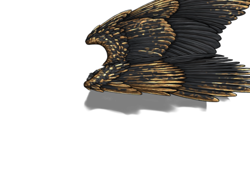 black gold m adult.png