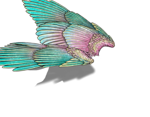 decennial f adol.png