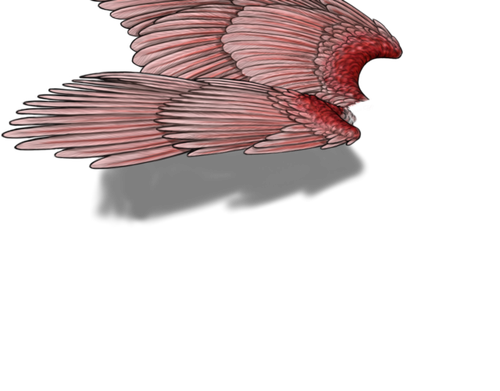 spoonbil neutral.png