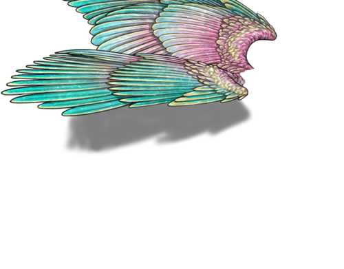 decennial neutral.png