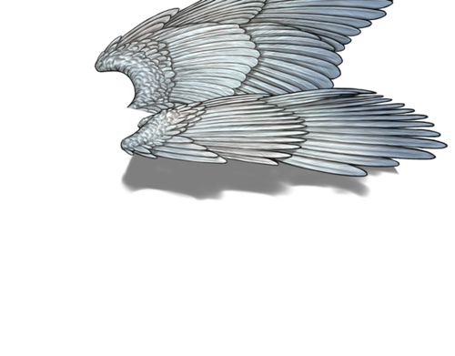 snowflake f adult.png