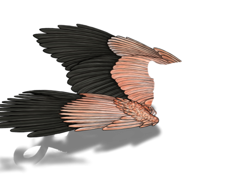 flamingo default.png