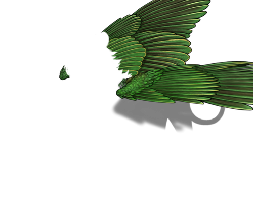 fruitdove m adol.png