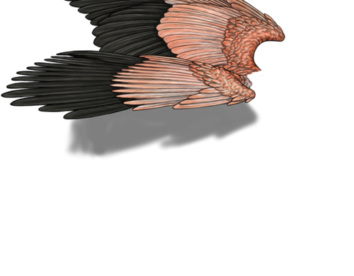 flamingo neutral.png