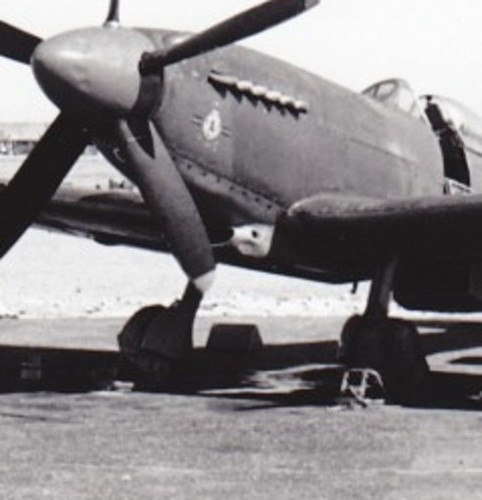 Spitfire XVIII TP 447 Nose.jpg