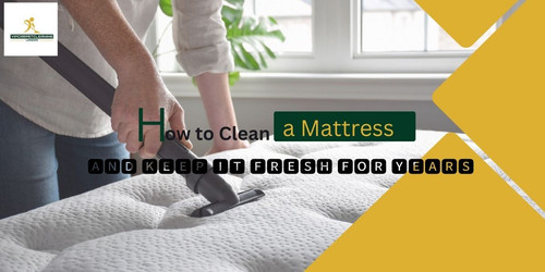 How to Clean a Mattress and Keep It Fresh for Years.jpg