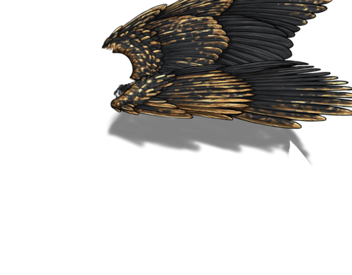 black gold m adult.png