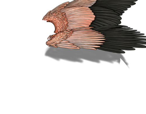 flamingo m adult.png