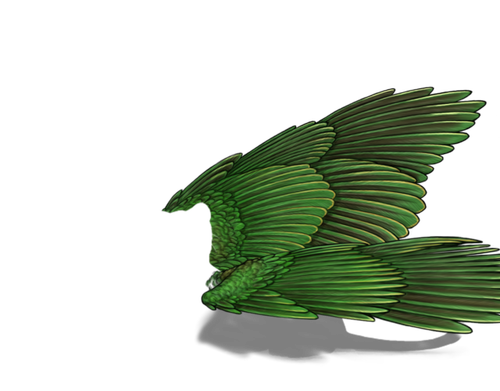 fruitdove f adol.png