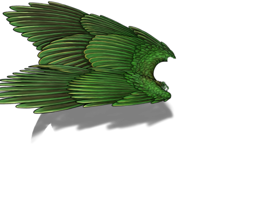 fruitdove f adult.png