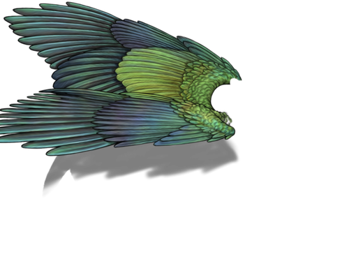 parakeet f adult.png