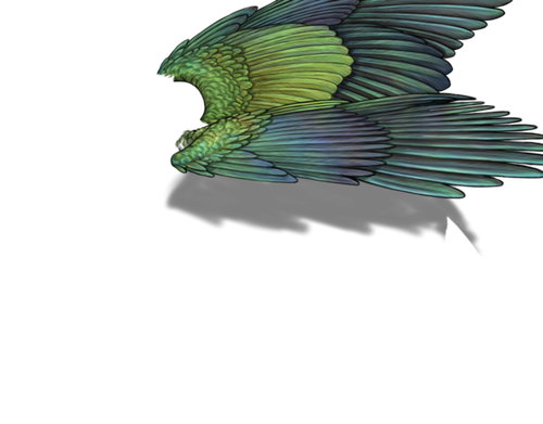 parakeet m adult.png