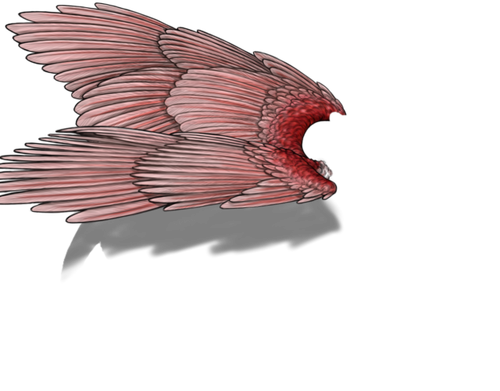 spoonbill f adult.png