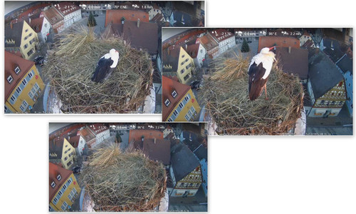 Bilder9.jpg