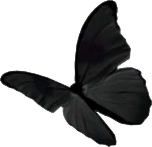 bsqxo7.png