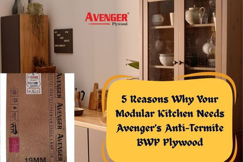 5 Reasons Your Modular Kitchen Needs Avenger’s Anti-Termite BWP Plywood.jpg