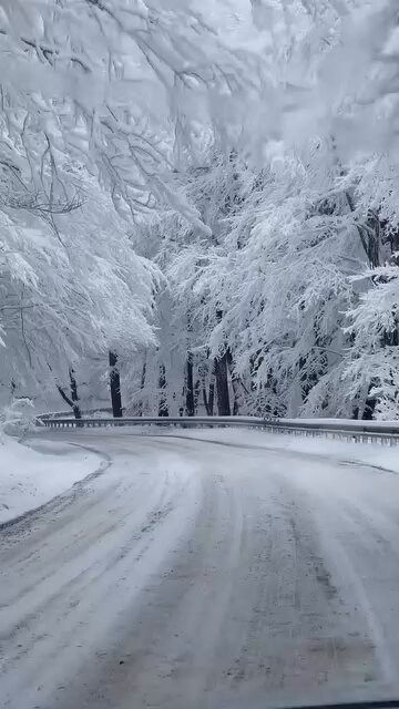 yhPH doJjtiftsKQ.jpg