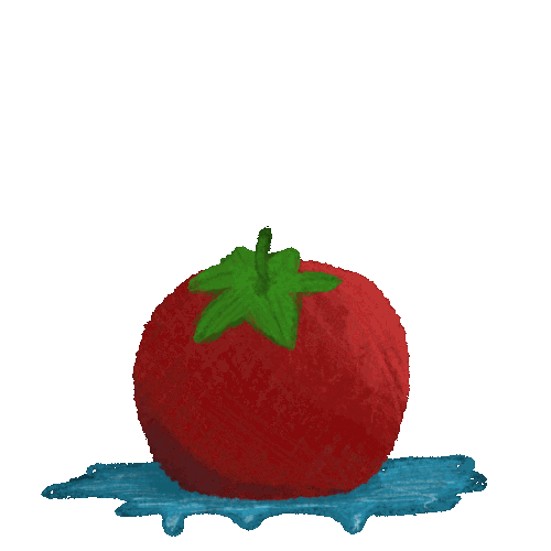 IMG 3042.gif
