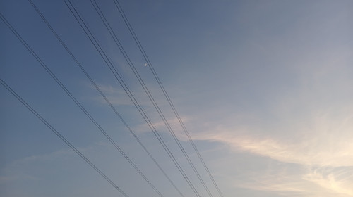 1000050507.jpg