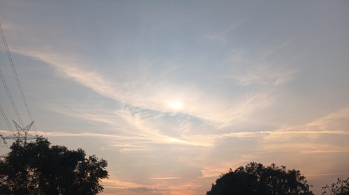 1000050506.jpg