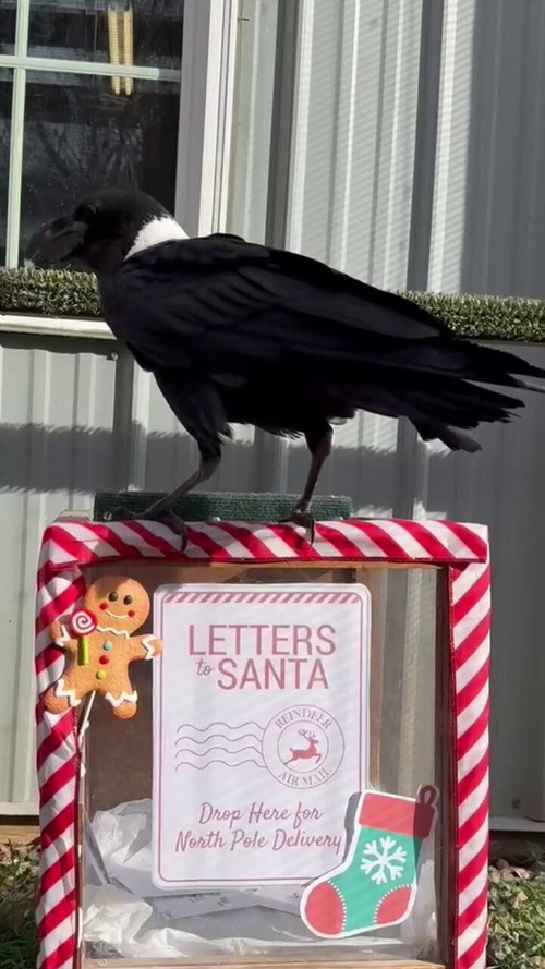 dkHYjHQJqeUH50 w.jpg