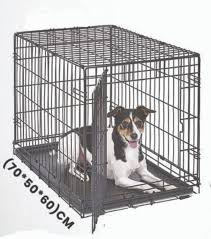 images?q=tbn:ANd9GcQsnpG8XkMCm fHlXiSHlPgHq2qhvGKx0ZVV0eXeyfn88BtAao9.jpg