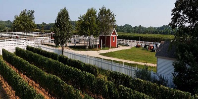 Hamptons Wine tours.jpg