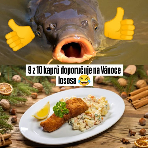 470342483 2021836481577700 4556061757876534347 n.jpg