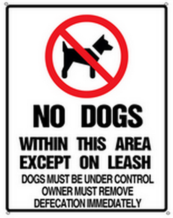 设计模版17.5x22 副本 17.png