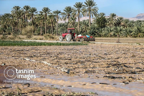 A8DKostJMwx1LC stK x23r3qUg8Syu5VhuScGLD1eVJavmOe6K3EPxI0JIl1MhrnIX7b1IMwxEttaVo6CBO9x zDze4sOf9nDm8.jpg