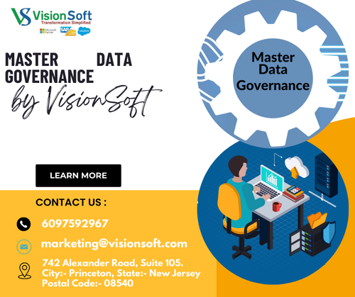 Master Data Governance by VisionSoft.png