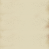 1000065079