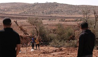 تقدّر وزارة الزراعة الفلسطينية الخسائر الناتجة عن اقتلاع وتجريف جيش الاحتلال والمستوطنين لأكثر من 8 آلاف شجرة في الضفة الغربية خلال أسبوع واحد بنحو 7 ...