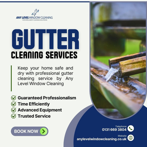 Gutter Cleaning Service with Any Level Window Cleaning.jpg