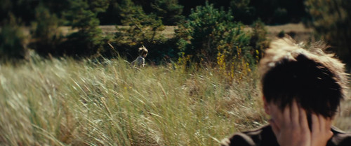frame0.jpg