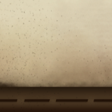 1000065066