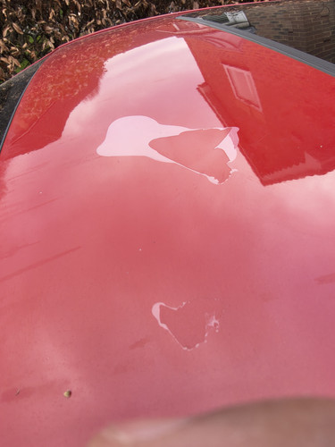 IMG 20251226 123354398 HDR